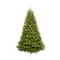 6.5ft. Pre-Lit Fraser Fir Artificial Christmas Tree, Clear Lights
